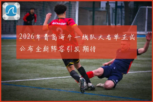 2026年青岛海牛一线队大名单正式公布全新阵容引发期待