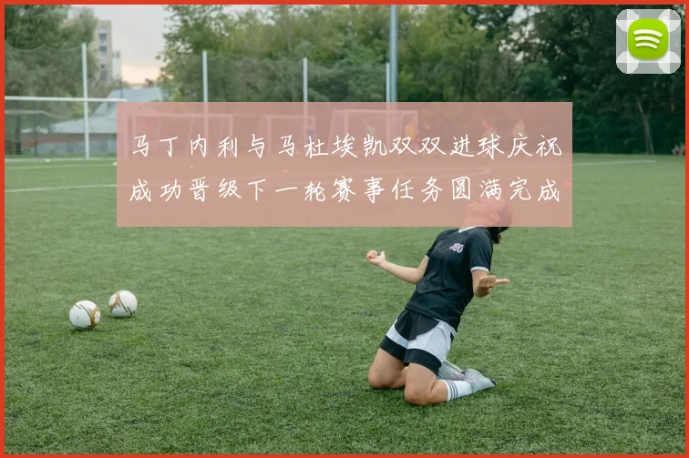 马丁内利与马杜埃凯双双进球庆祝成功晋级下一轮赛事任务圆满完成