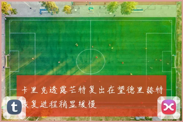 卡里克透露芒特复出在望德里赫特恢复进程稍显缓慢